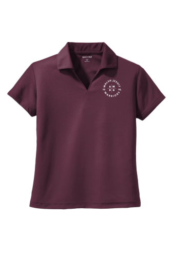 Ladies Dri-Mesh® V-Neck Polo