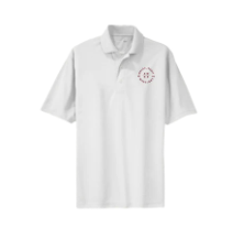 Youth Dri Mesh Polo
